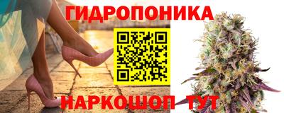 дживик Моздок